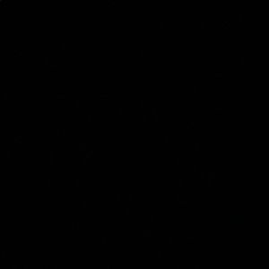 Meet your Posher, Bryan